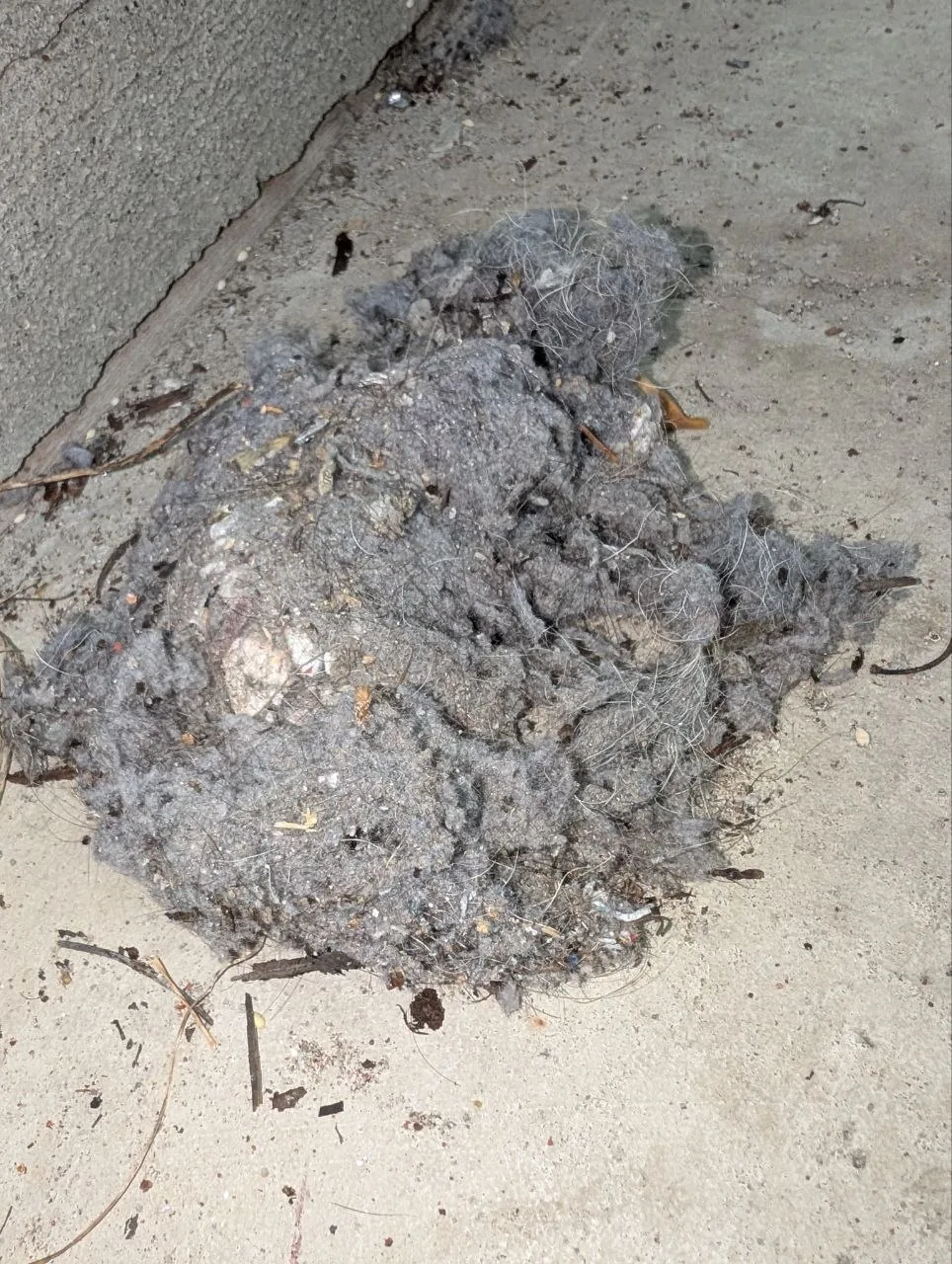 Dryer exhaust line during cleaning.